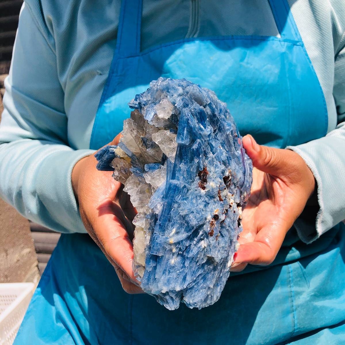4.02LB Natural Blue Kyanite Cluster with Clear Quartz Matrix Crystal Specimen
