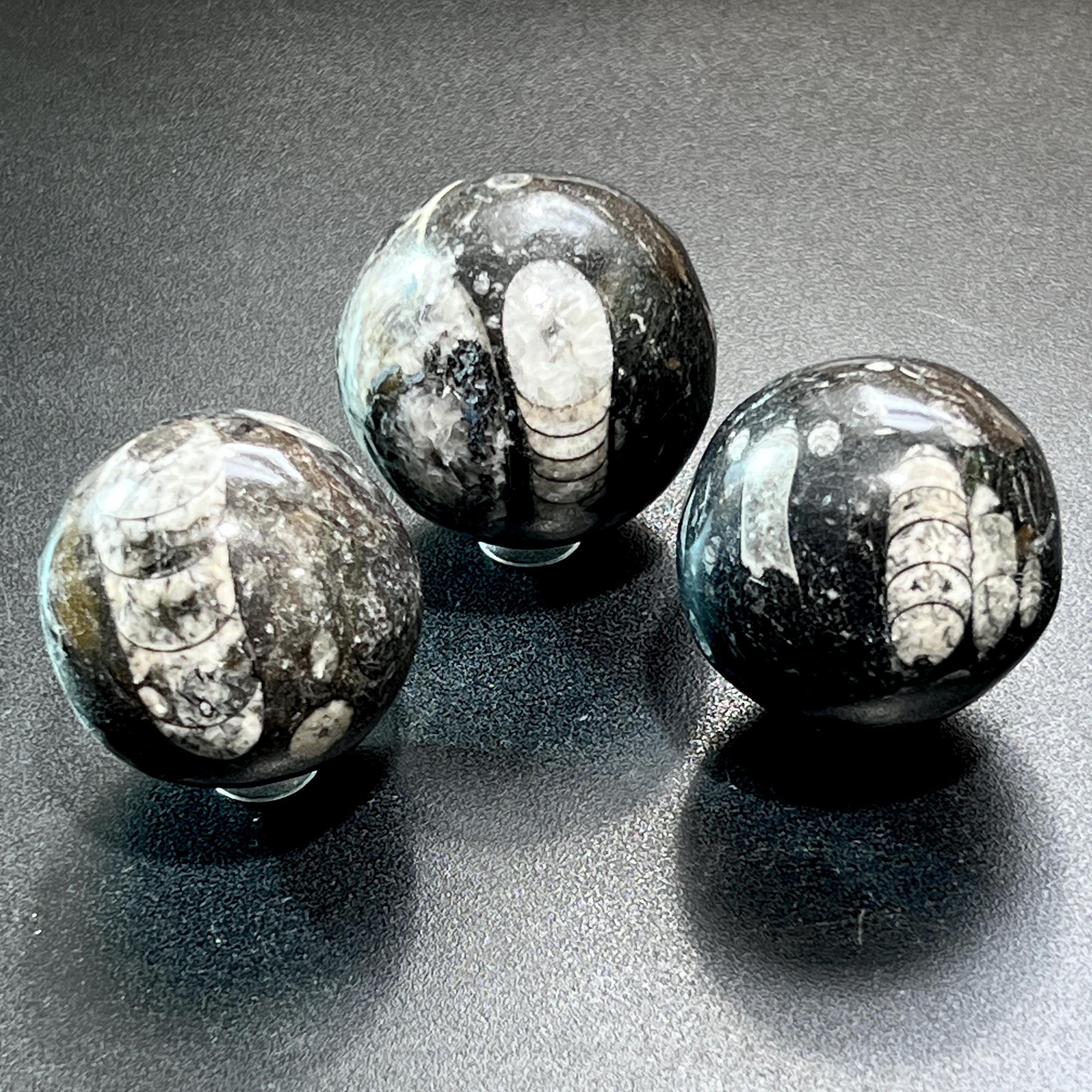 Orthoceras Fossil Sphere Polished Carving Genuine Morocco Mineral