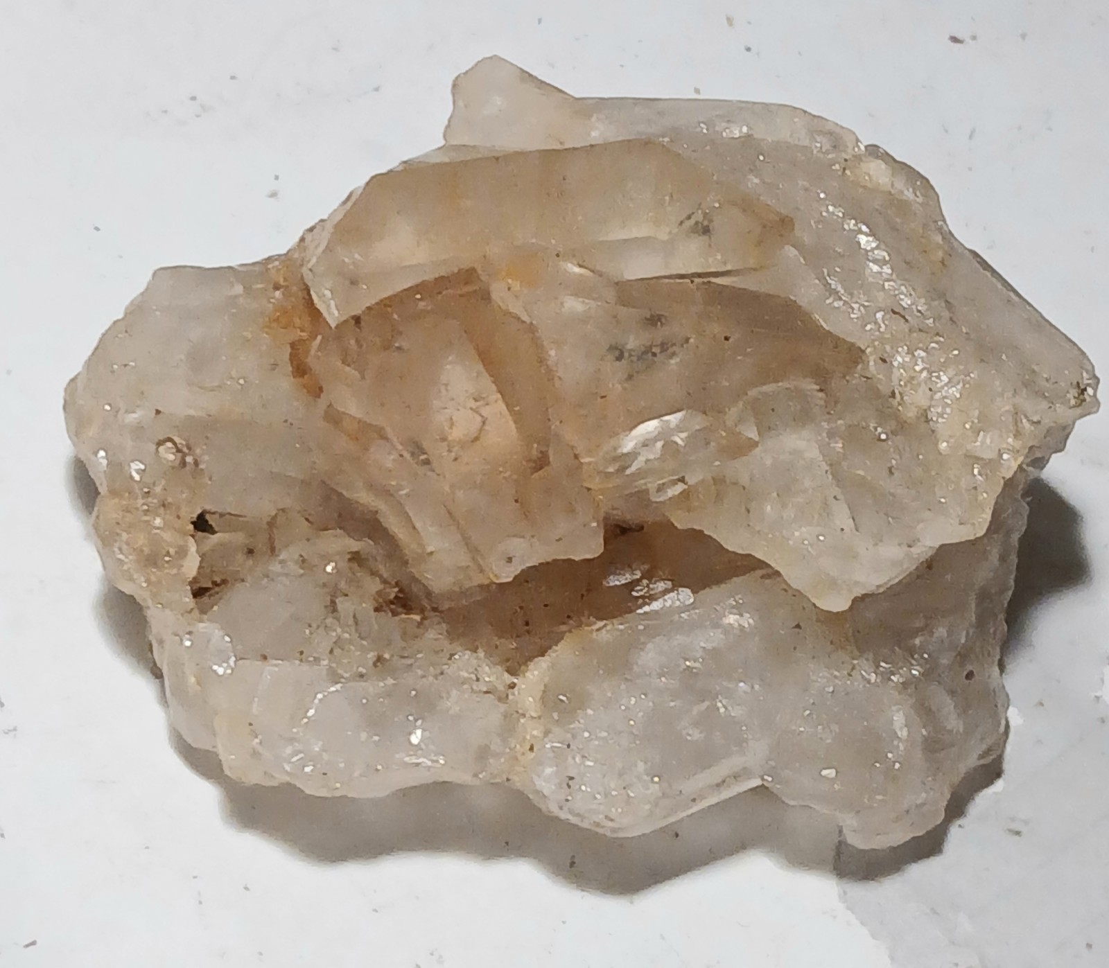 Rose Quartz Crystal Cluster raw natural specimen