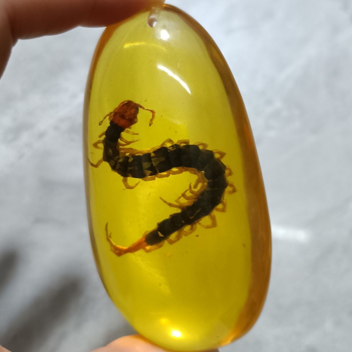Insect Amber Pendant Centipede Long Sweater Necklace for Men Women Jewelry