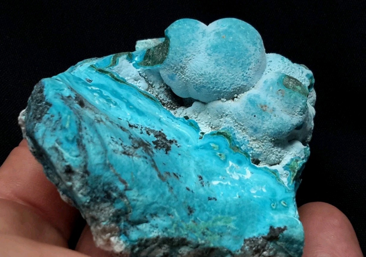 3″ CHRYSOCOLLA on MALACHITE from the Democratic Republic of Congo