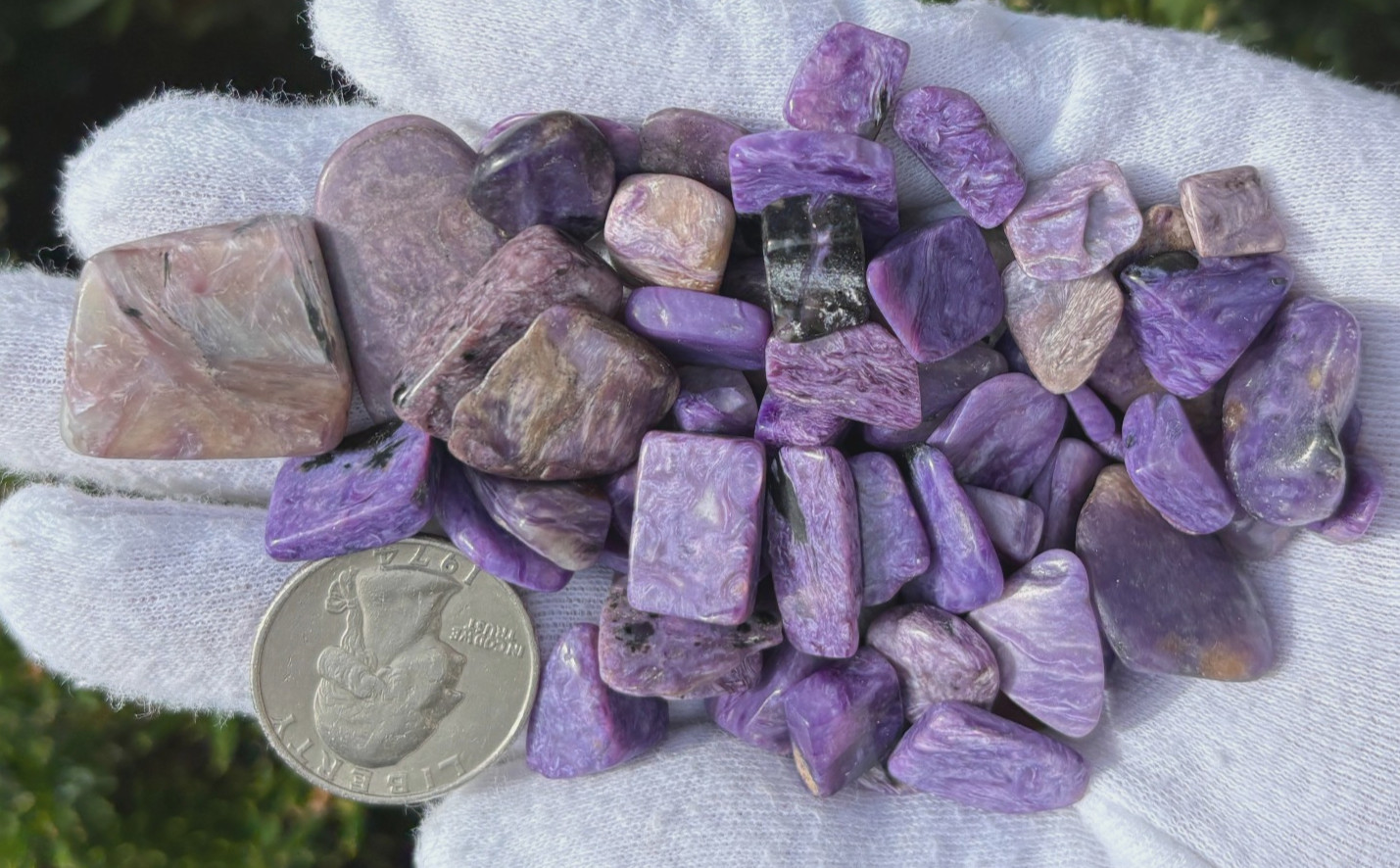 96g LOT CHAROITE CHIPS REAL AUTHENTIC MIXED SIZES: SMALL XS TINY