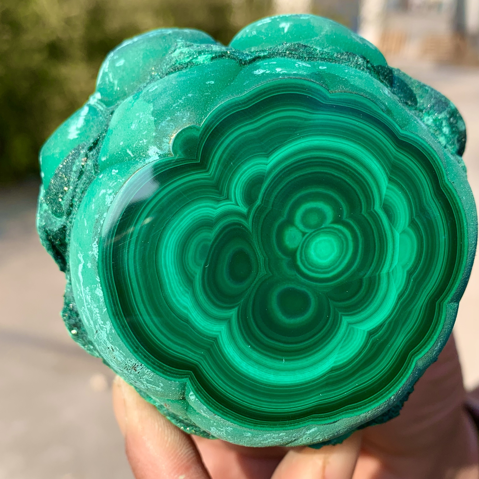 1.39LB Natural glossy Malachite transparent cluster rough mineral sample