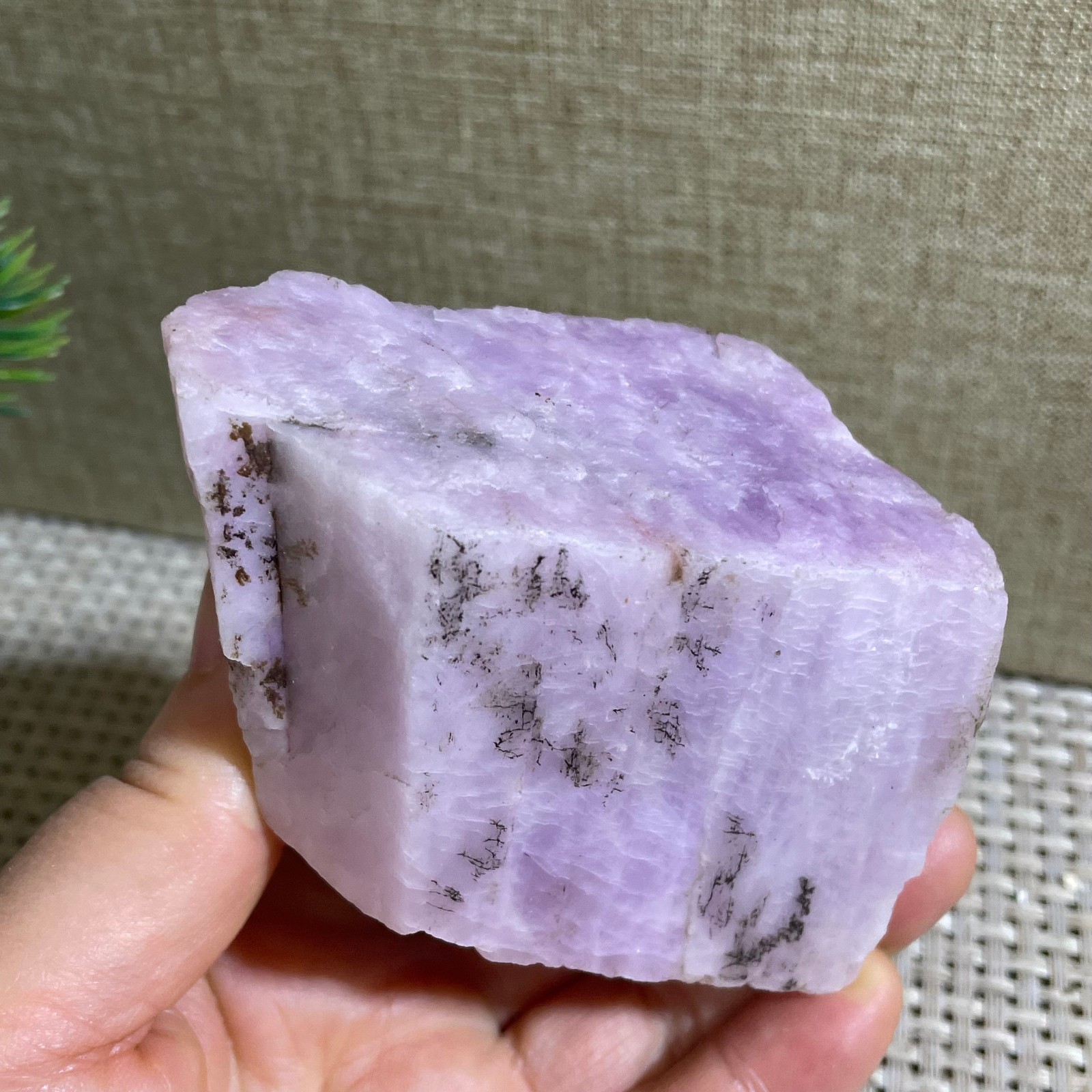 Raw Kunzite Purple Rough Healing Stone Specimens Rocks 303g g22