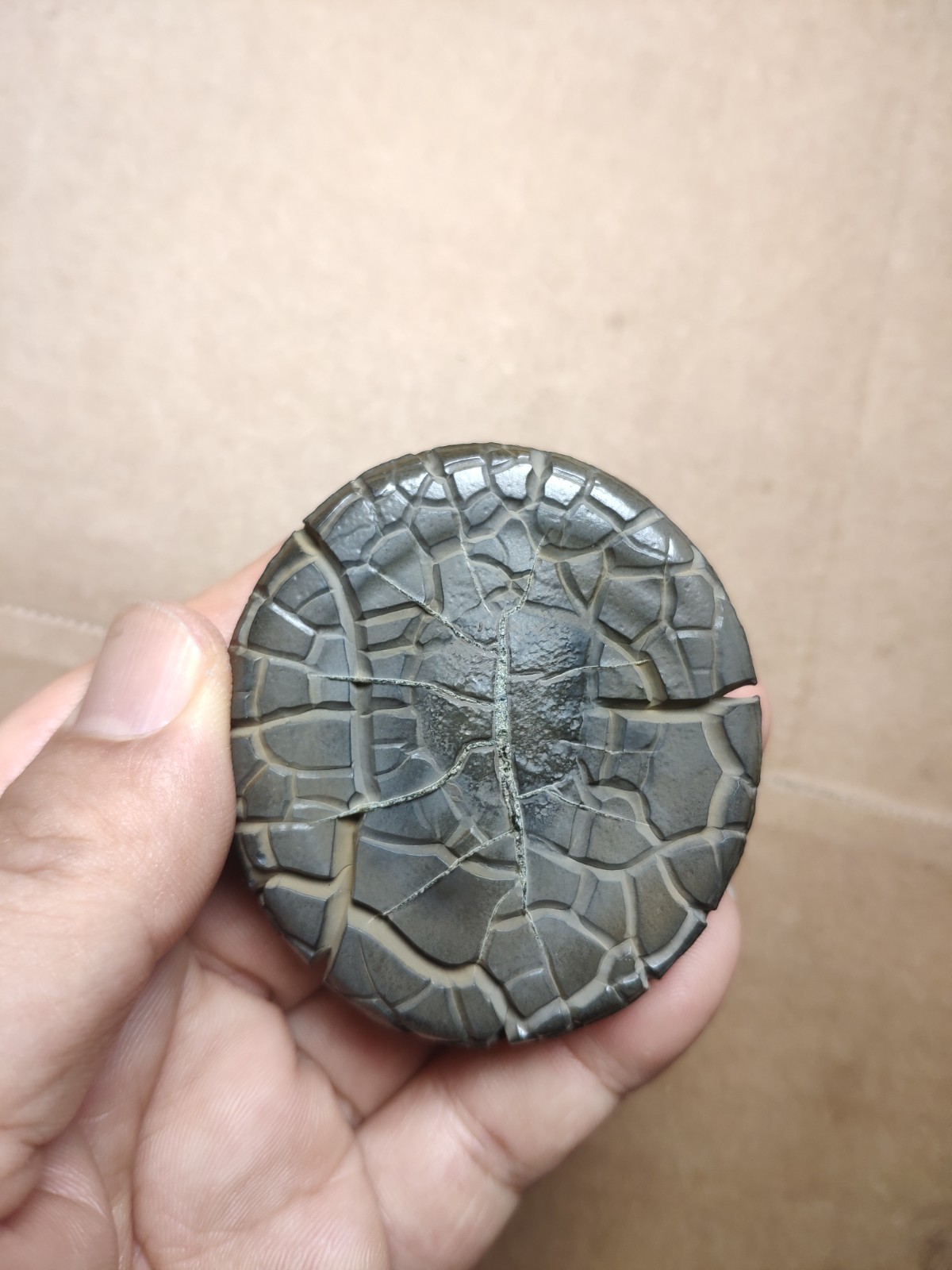 136g beautiful Natural tortoise back pattern stone Landscape stone