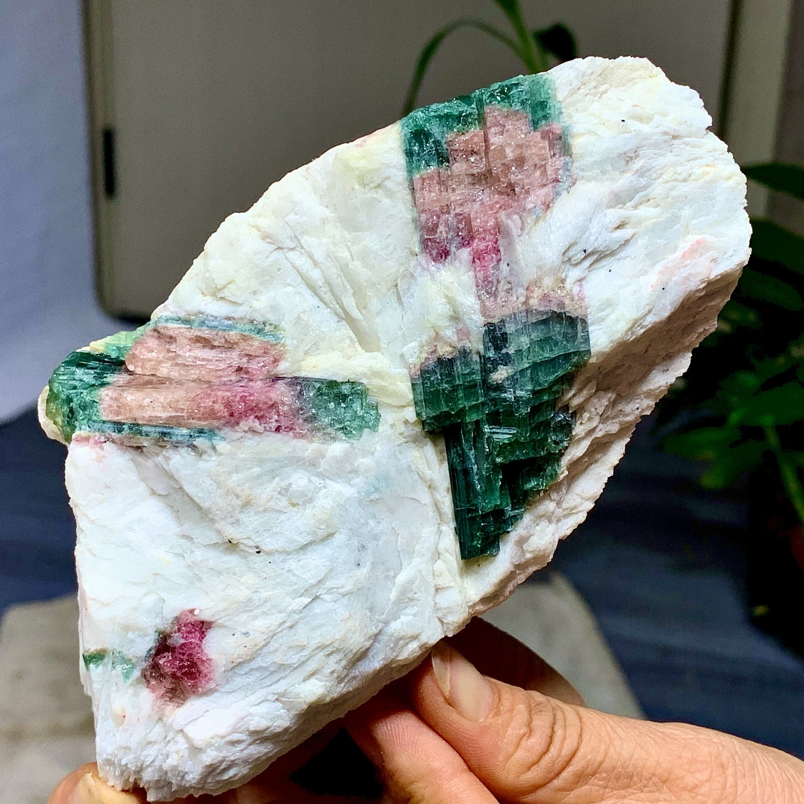 449G Natural pink-green tourmaline quartz crystal cluster mineral specimen