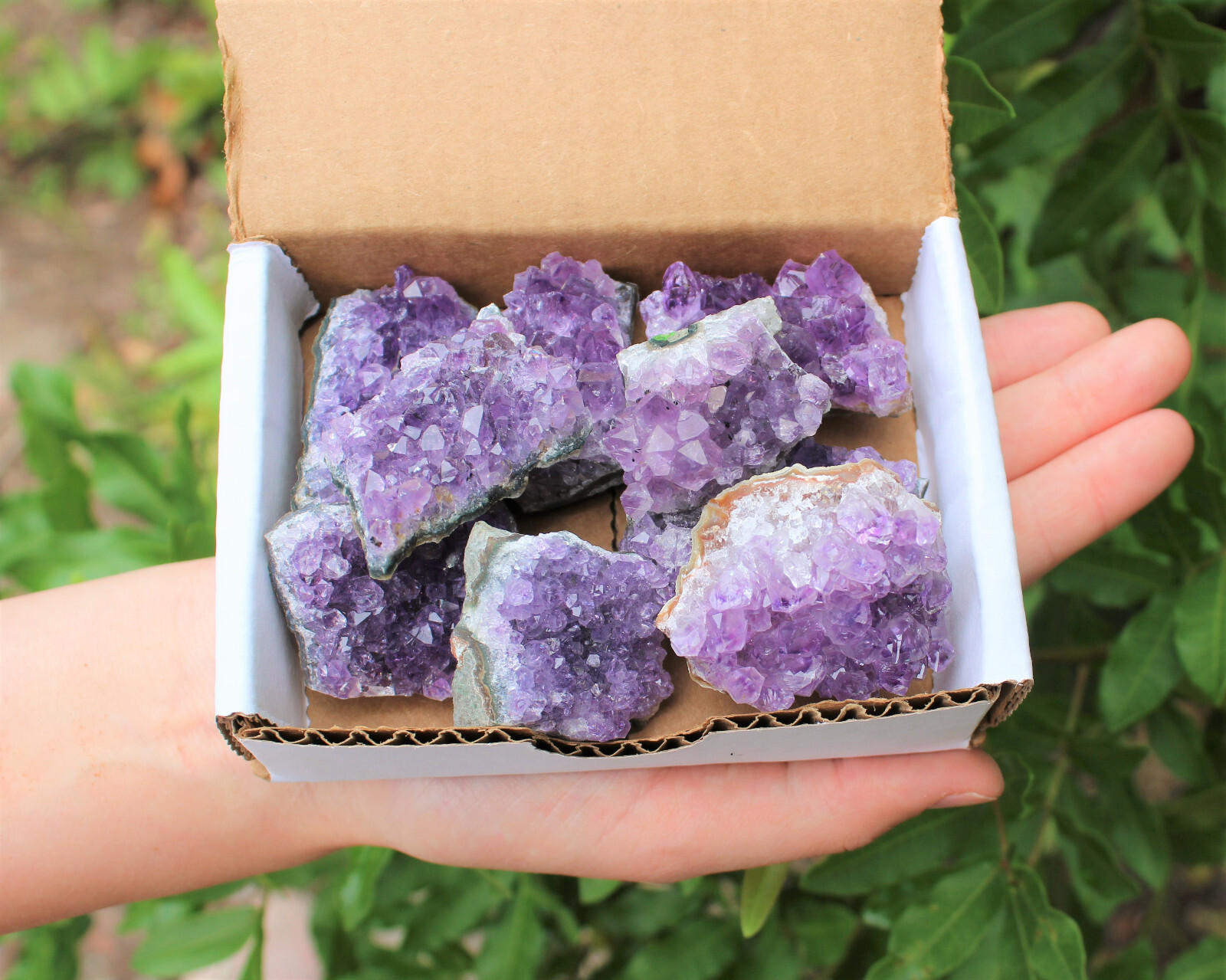 Natural Amethyst Cluster Druze Collection Box: 7 – 9 oz Box Lot, 6 – 10 Pieces