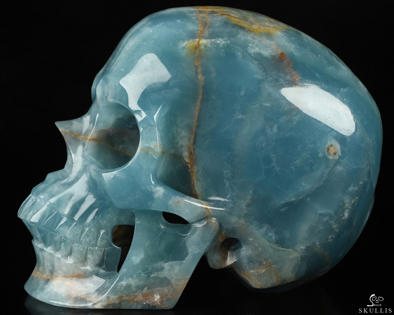 Super Realistic! Lifesized 7.0″ Blue Onyx Hand Carved Crystal Skull, Healing