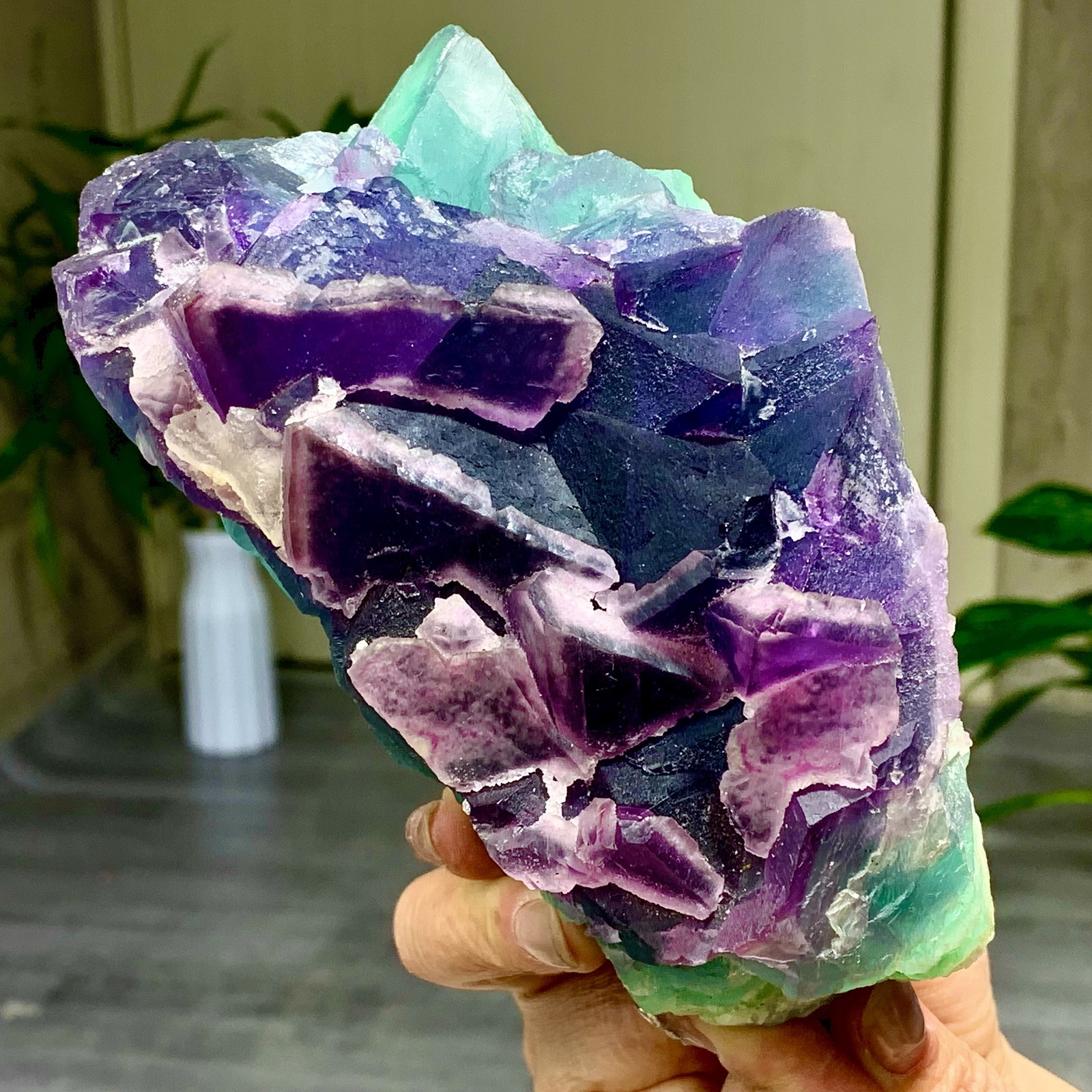 3.49LB Rare transparent purple-green cubic fluorite mineral crystal sample/China