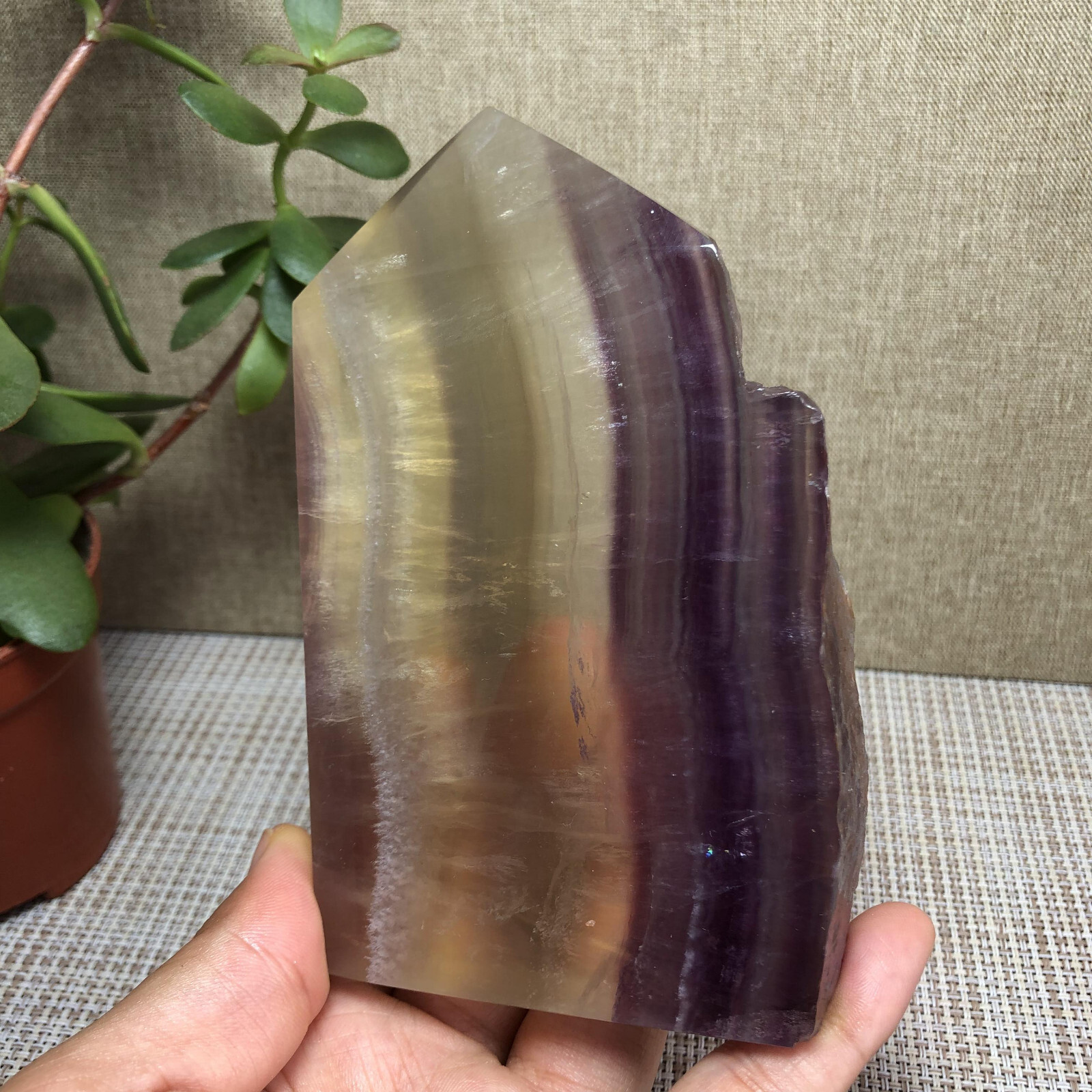 492g Natural candy Fluorite Polish/Rough wand Crystal free standing 123mm A2894