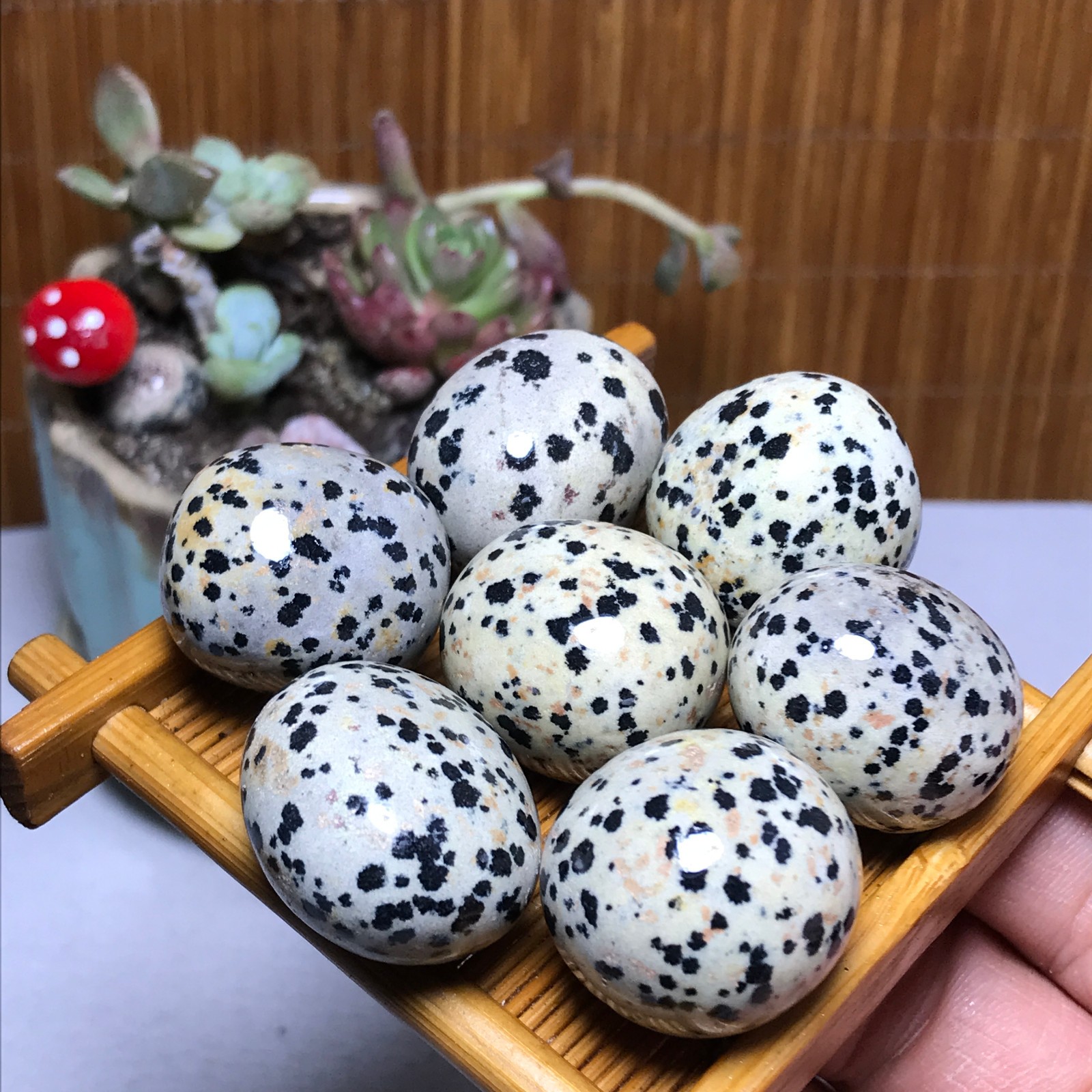 25-22-22mm 7Pcs Natural spotted stone Crystal gemstone Mineral Specimen A4408