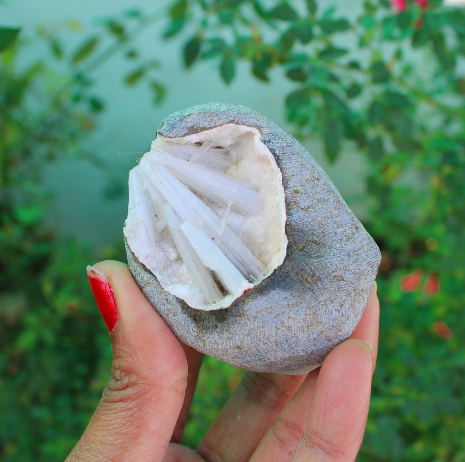 Scolecite In Geode Minerals Specimen#A9
