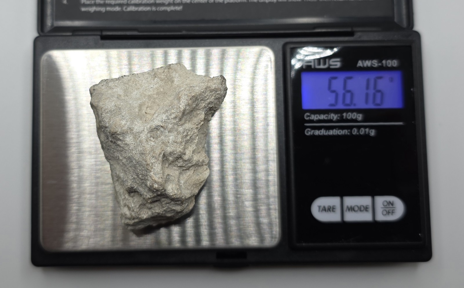 Rocks And Minerals: Shell Fossil 56 Grams