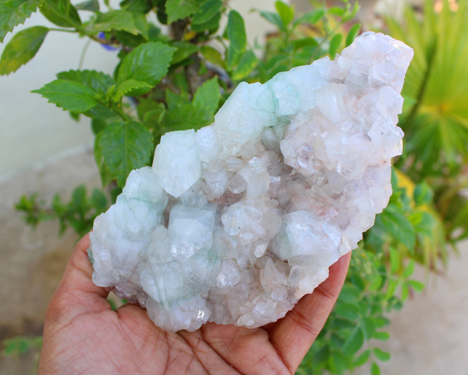 GREEN APOPHYLLITE CRYSTALS ON MATRIX MINERALS SPECIMEN #A43