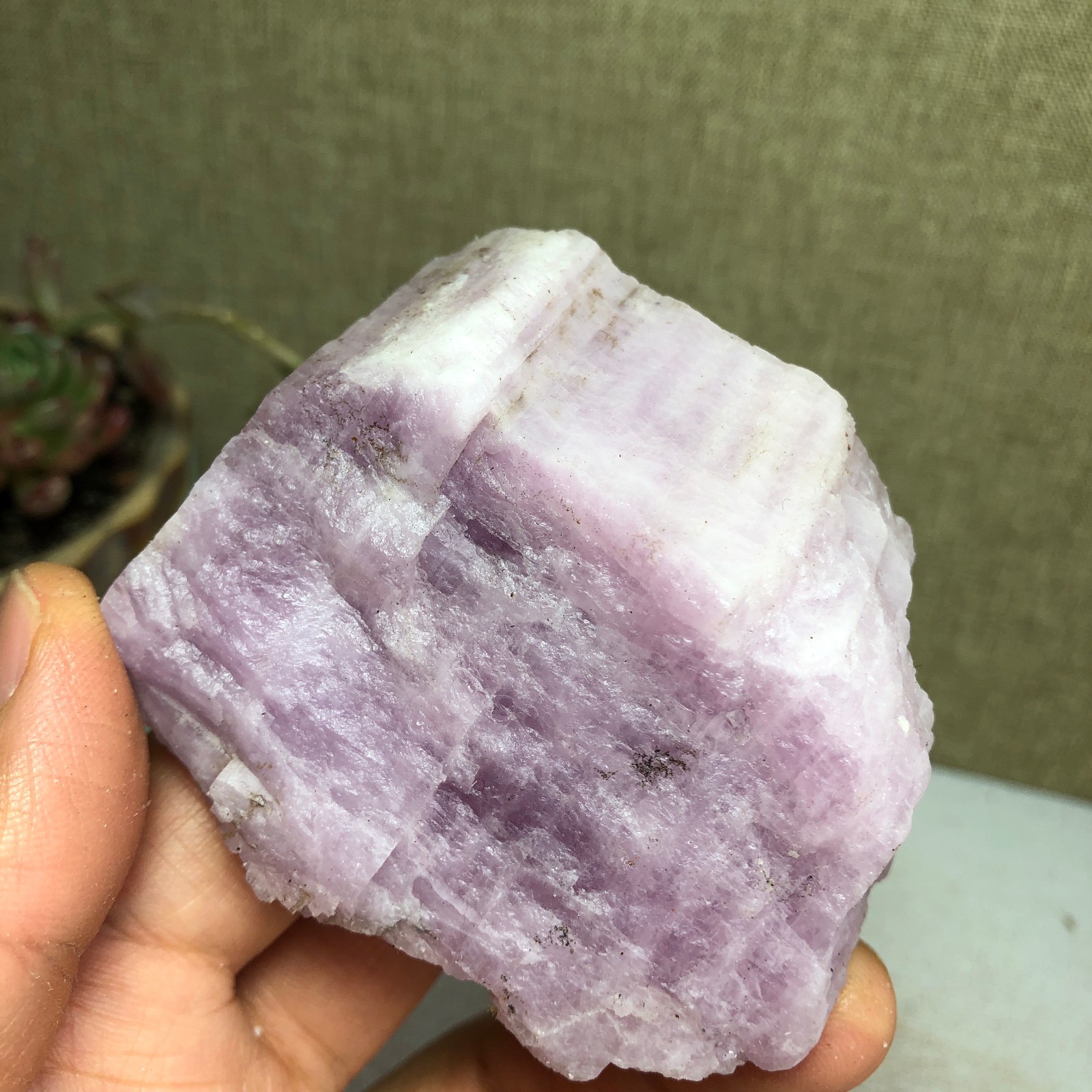 69-57-37mm NATURAL ROUGH KUNZITE PINK SPODUMENE CRYSTALS 194g A3647