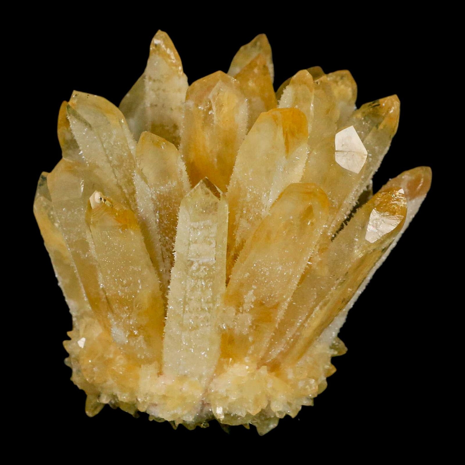 3.1″ Yellow Phantom Ghost Quartz Crystal, Chlorite Cluster Mineral Specimen