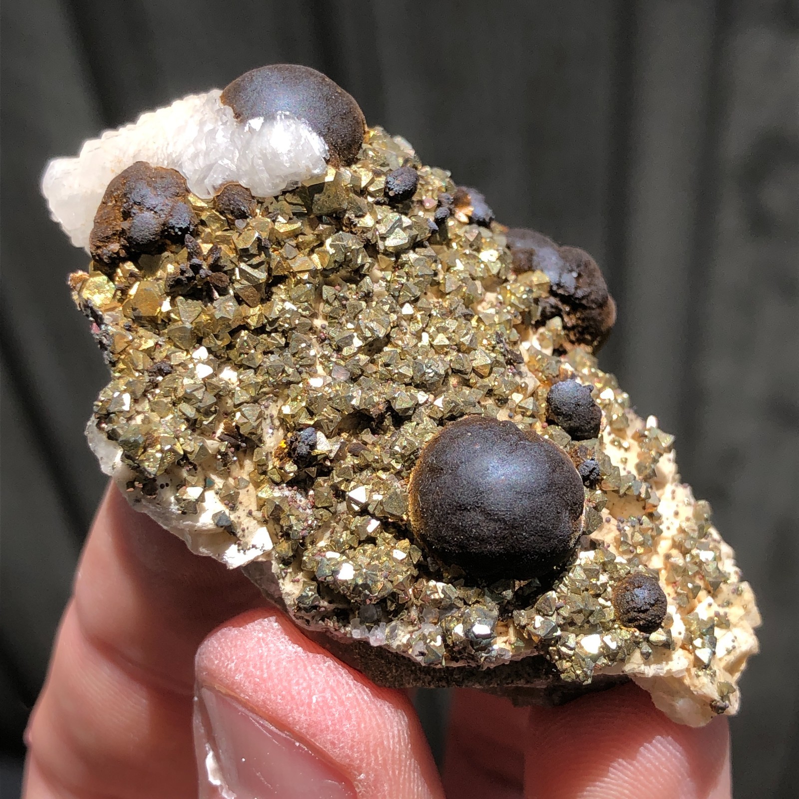 6.3cm Goethite on Pyrite, Calcite & Dolomite Crystals from Wawa, Ontario, Canada