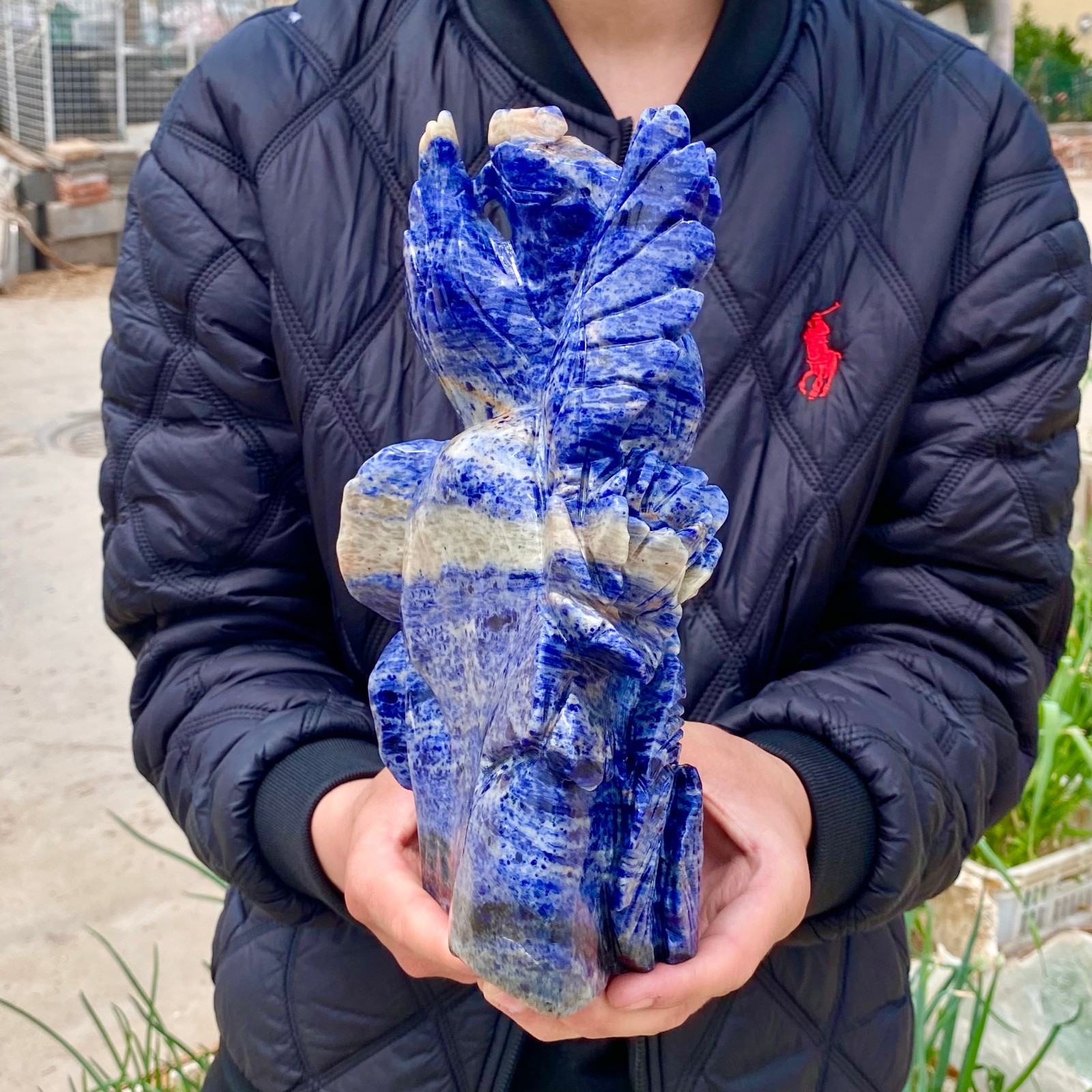 7LB Natural Blue Texture Crystal Carving Phoenix Rose Spiritual Energy