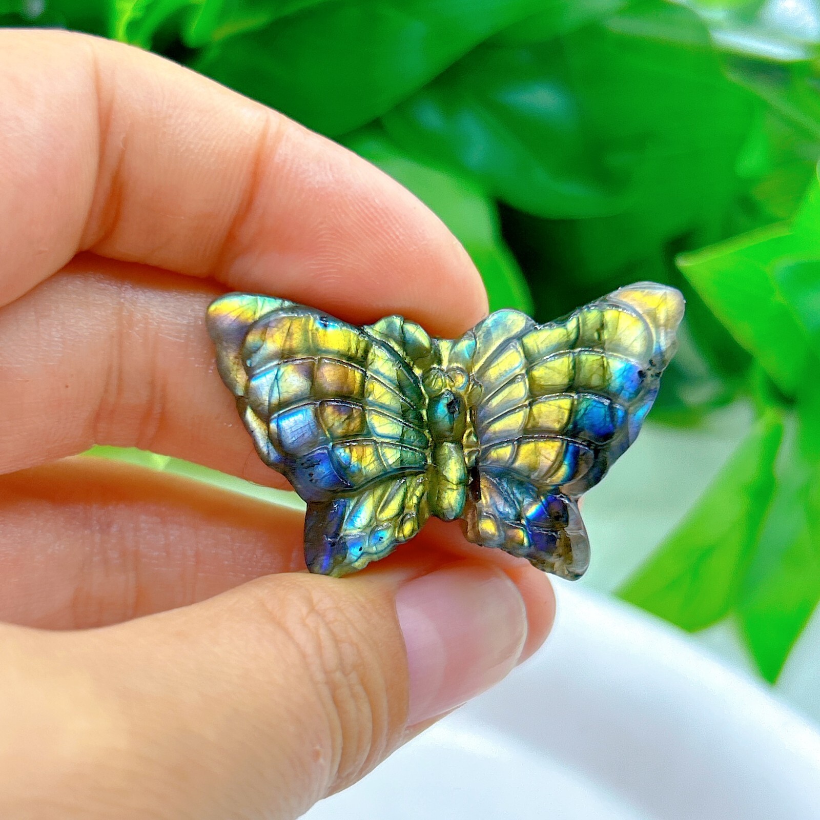 Natural labradorite Butterfly Hand Carved crystal Healing