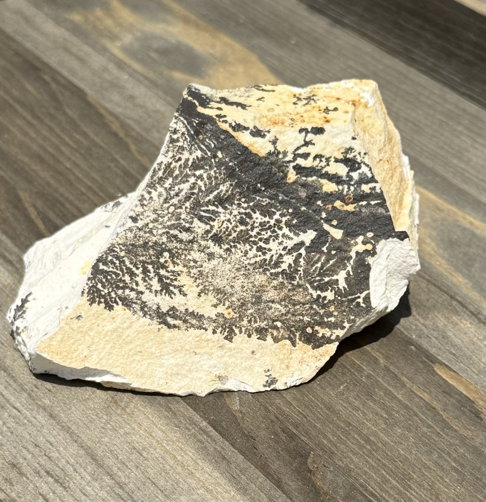 Natural Dendritic Limestone Landscape Stone Manganese Display Specimen, Italy