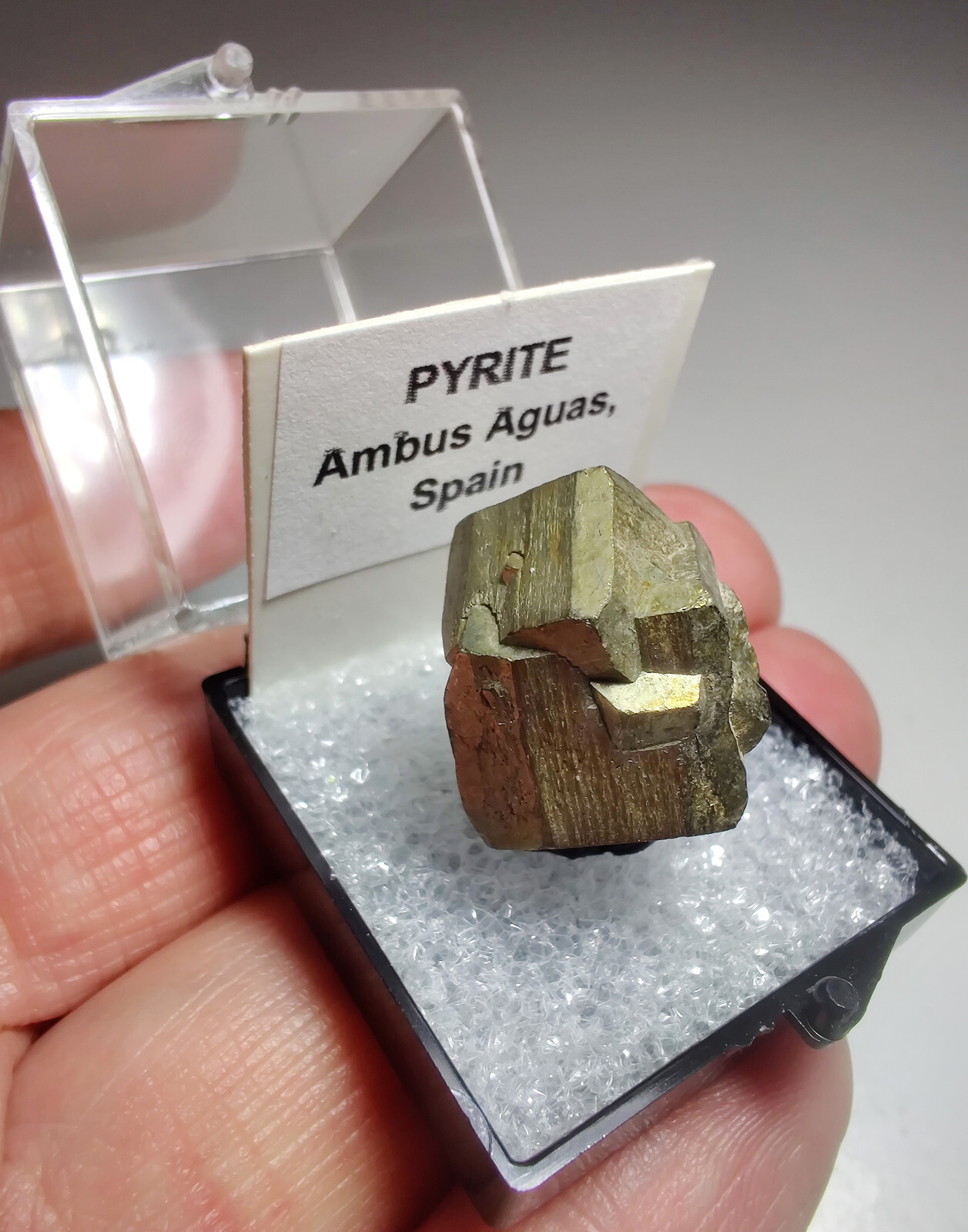 Excellent Pyrite crystal specimen. Ambus Aguas, Spain. 2 cm.