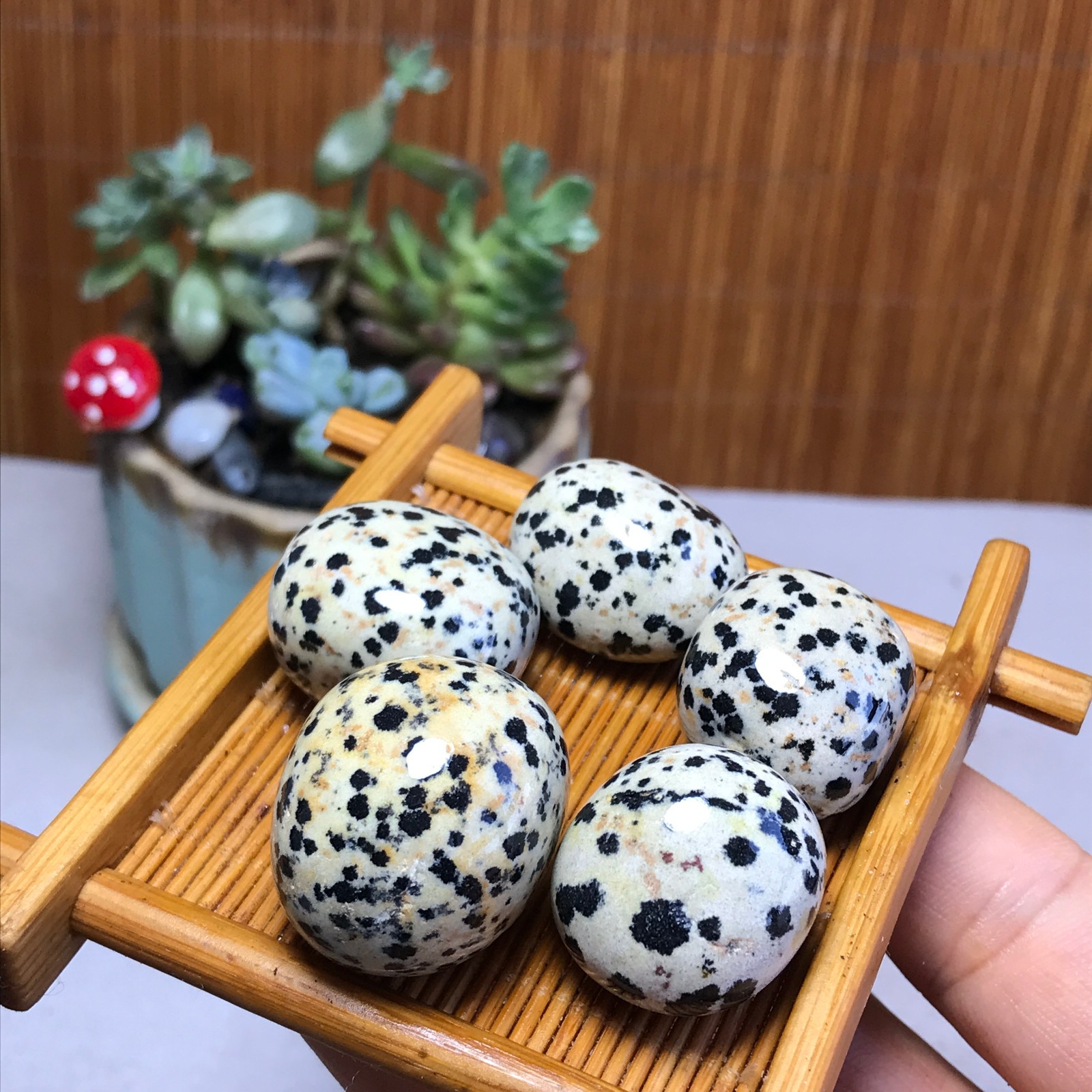 24-24-18mm 5Pcs Natural spotted stone Crystal gemstone Mineral Specimen A5717