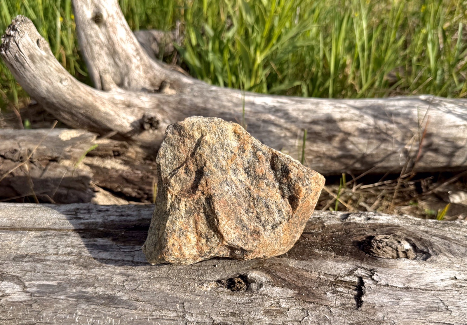 Natural Lake Michigan Rock Speckled Granite With Pink Hue Large LOOK! 👀 2.7lb+