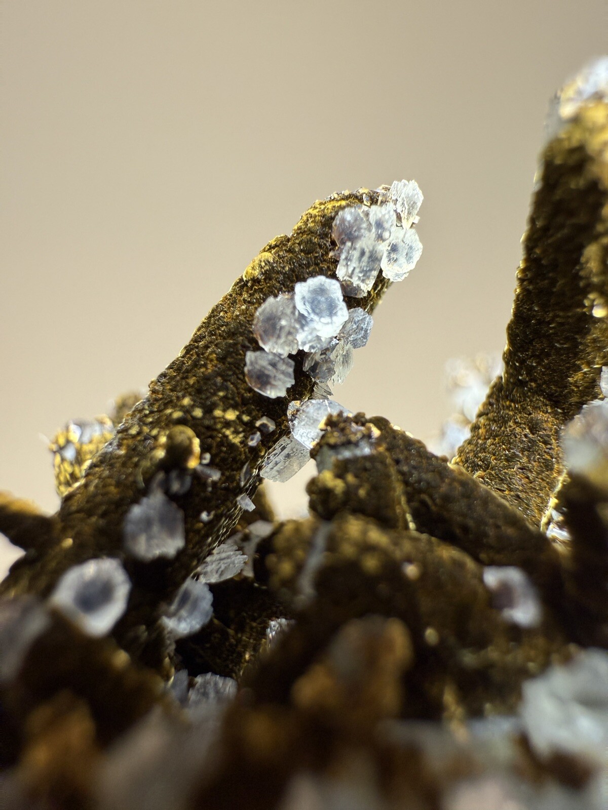 STUNNING Druzy Calcite & Bronze Velvet Chalcopyrite on Quartz Cluster • China