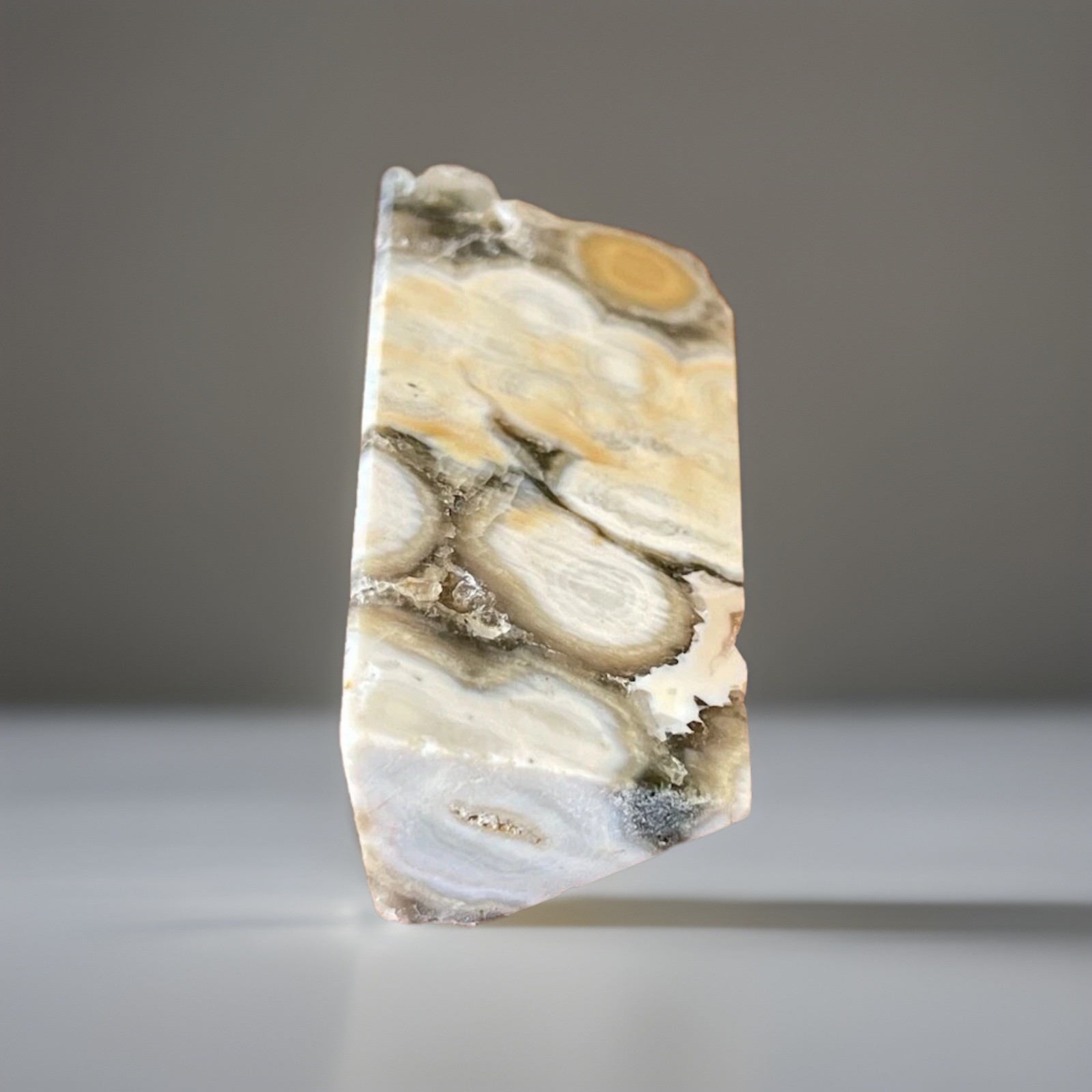 Rare Madagascar 8th Vein Ocean Jasper Freeform -Natural Orbicular Jasper Crystal