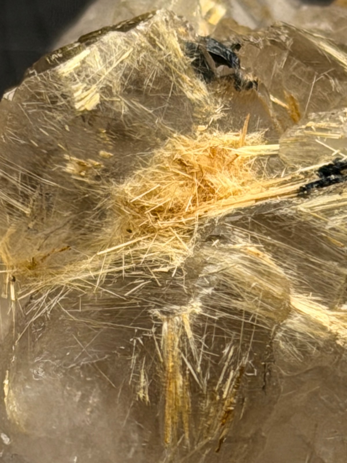 Golden Rutilated Quartz Cluster with Both Internal and External Rutile Sprays