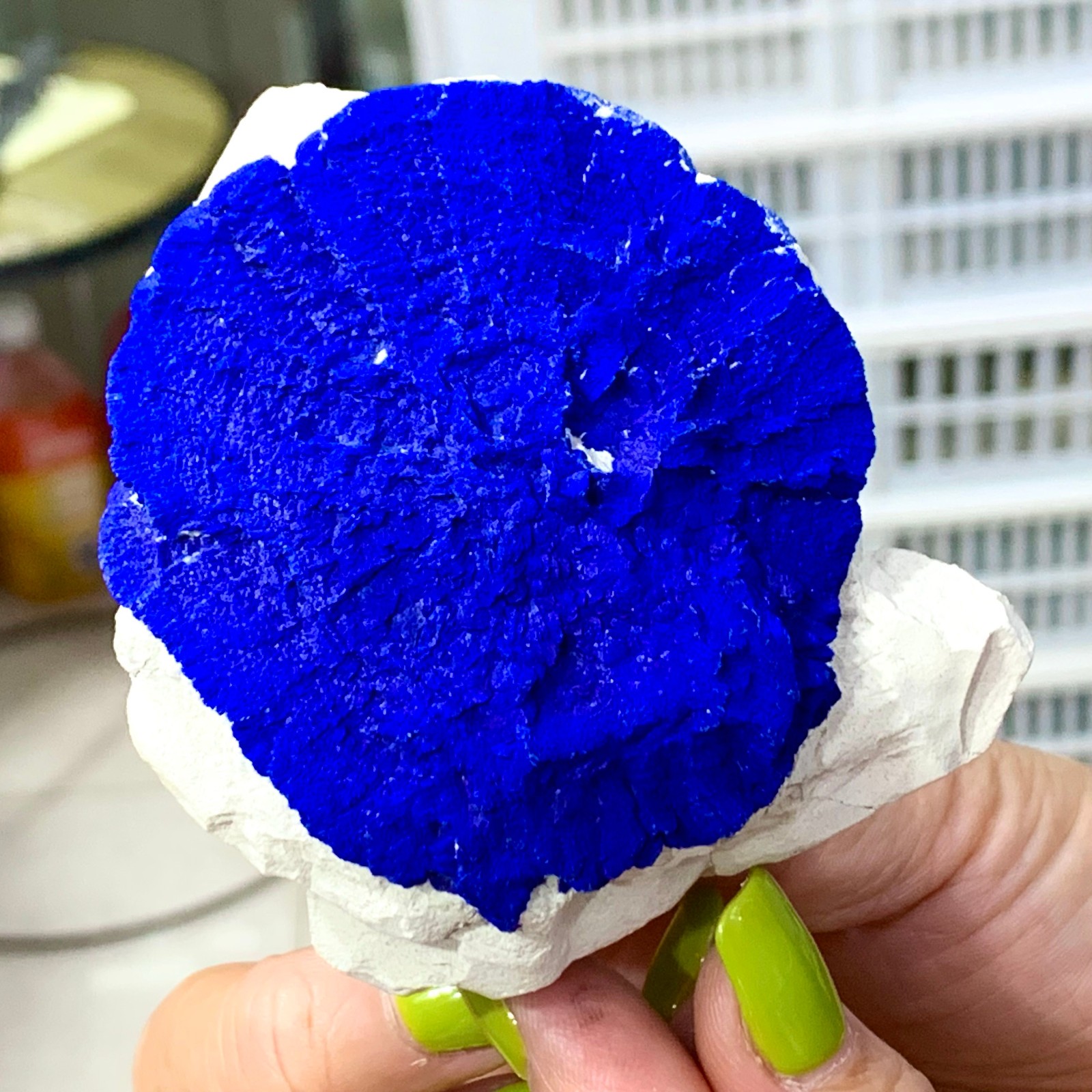 147G Sunflower azurite Fantastic Azurite Suns On Kaoline from Malbunka Australia
