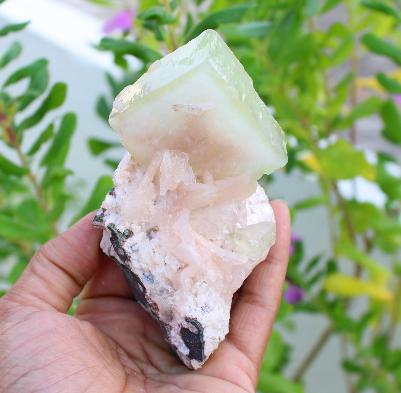 Green Apophyllite Crystals w/ Stilbite Minerals Specimen #A49