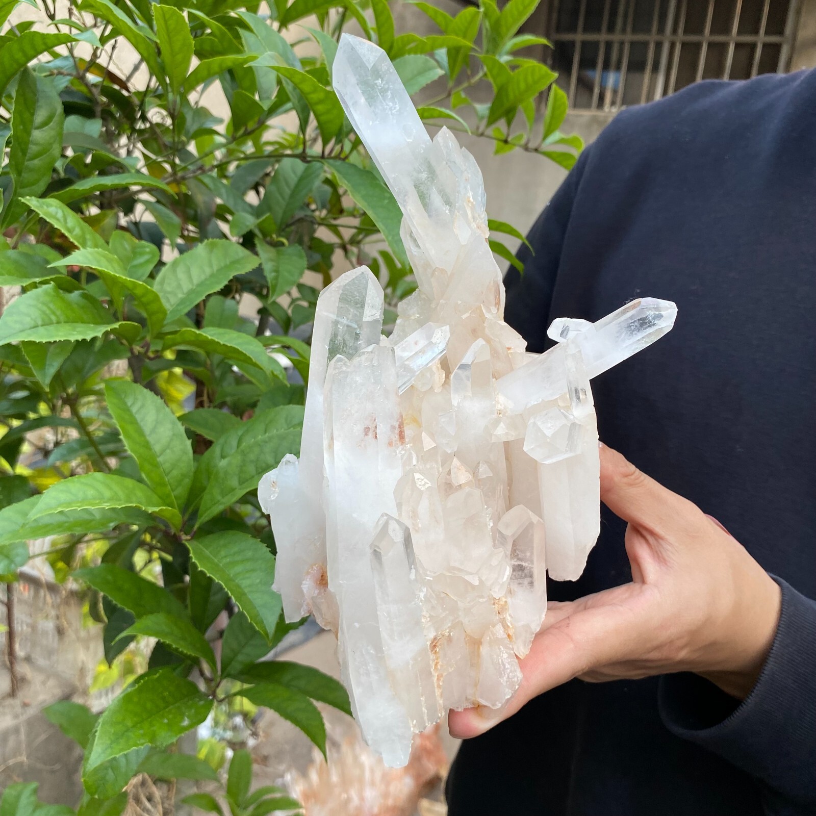 3.1lb Natural Clear White quart Crystal Cluster Raw Healing Specimen