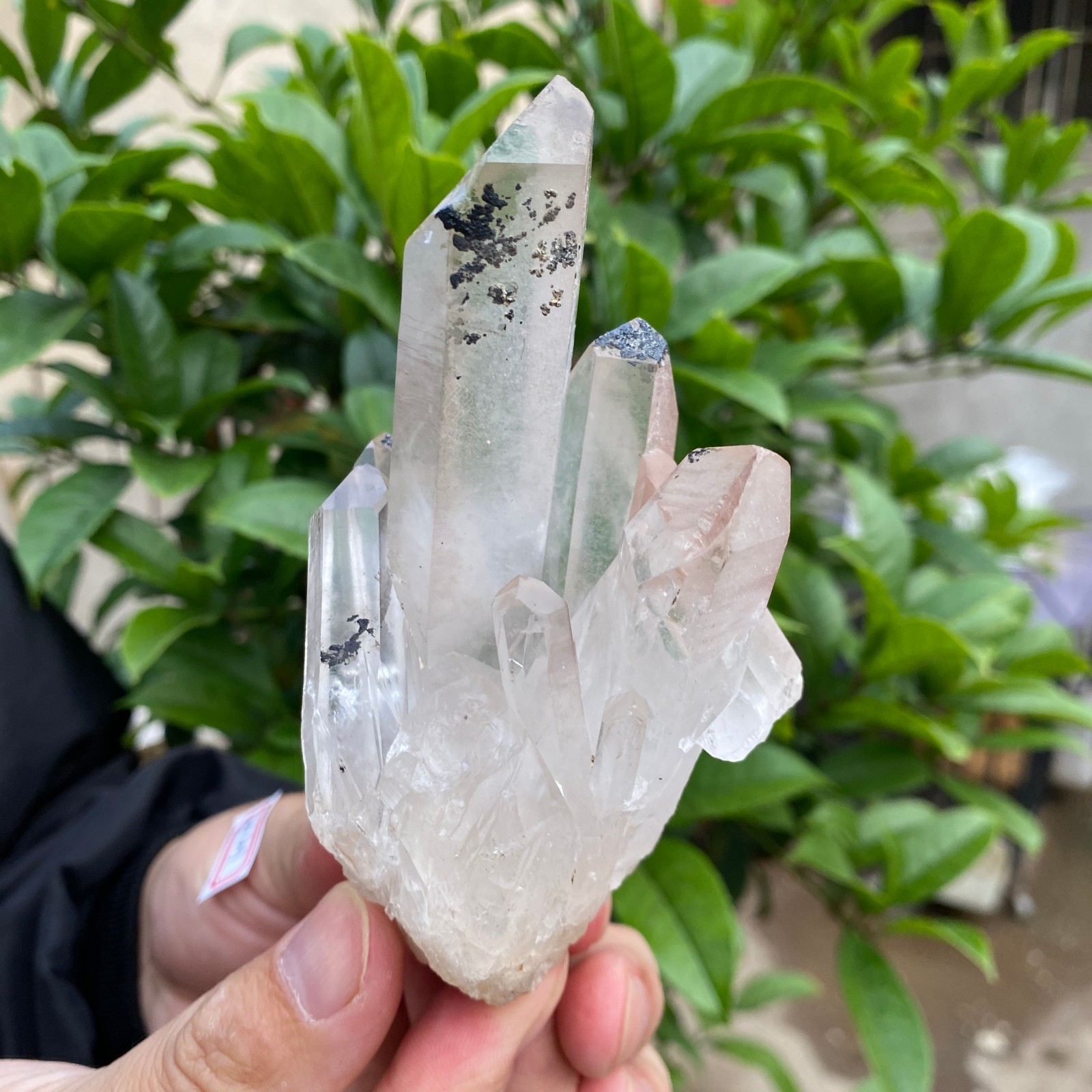 330g Natural Clear White Quartz Crystal Cluster Rough Healing Specimen