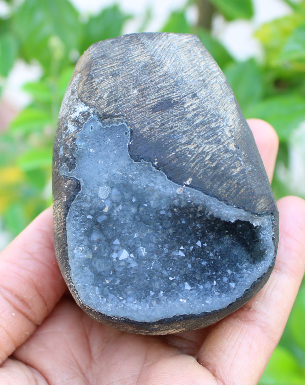 chalcedony coral geode minerals specimen #A43