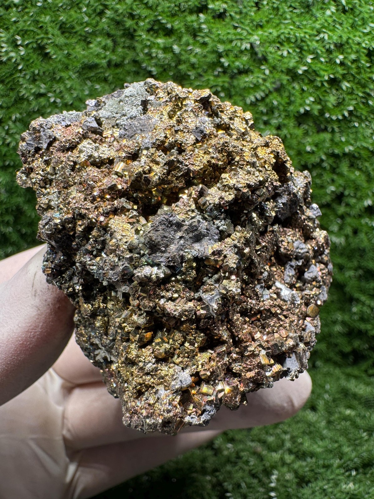 Super SHINY! Amazing IRIDESCENT PYRITE! with many rainbows! / F585