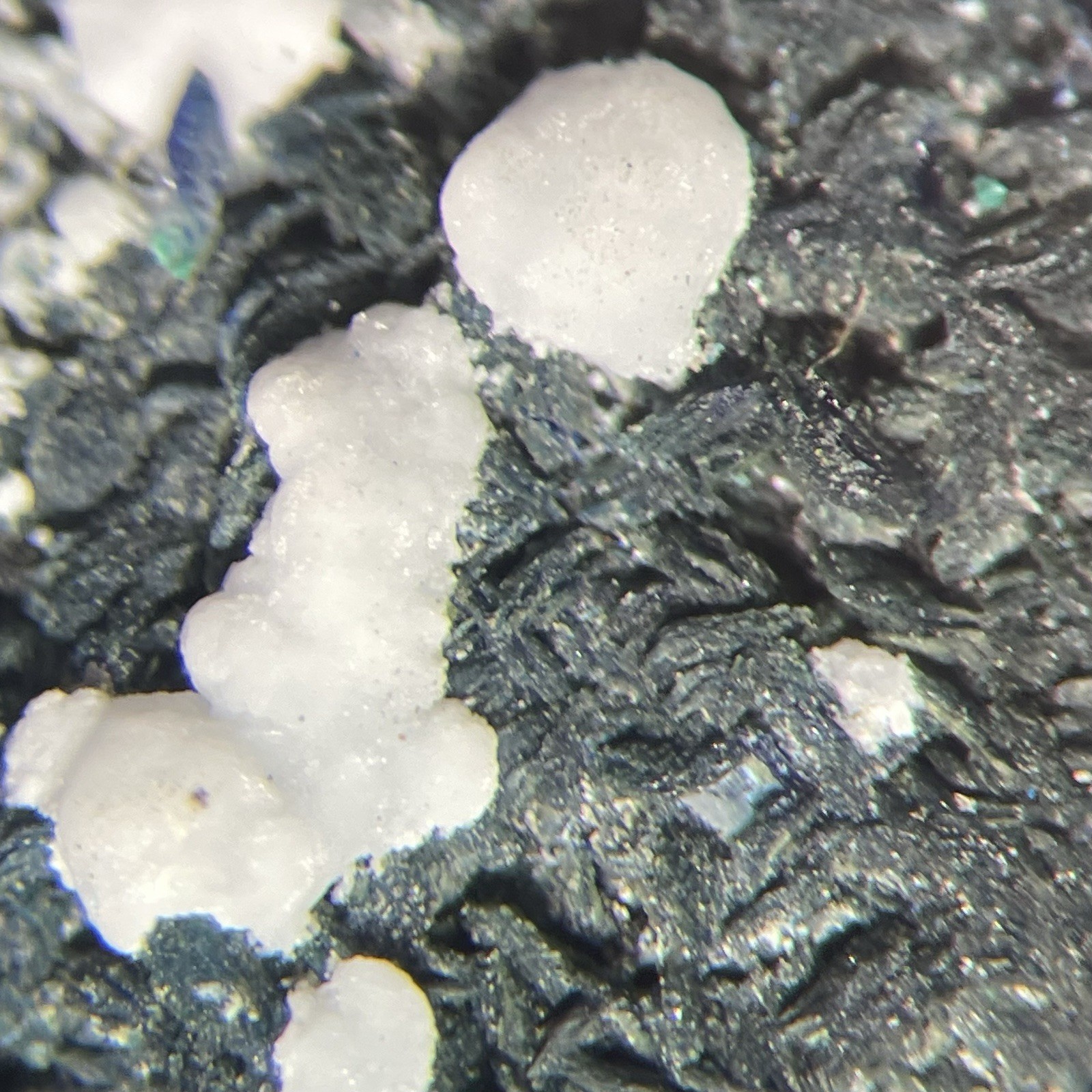 Azurite W/ Unknown White from Morenci ARIZONA USA