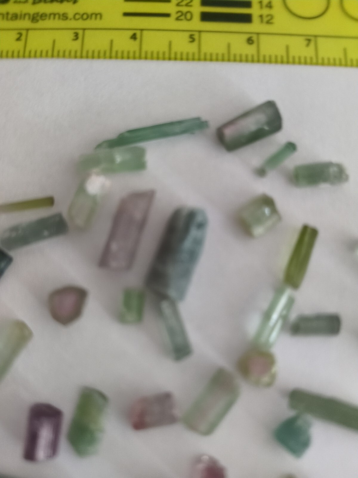 Raw Green Tourmaline Mixed Sizes Brazil Lot
