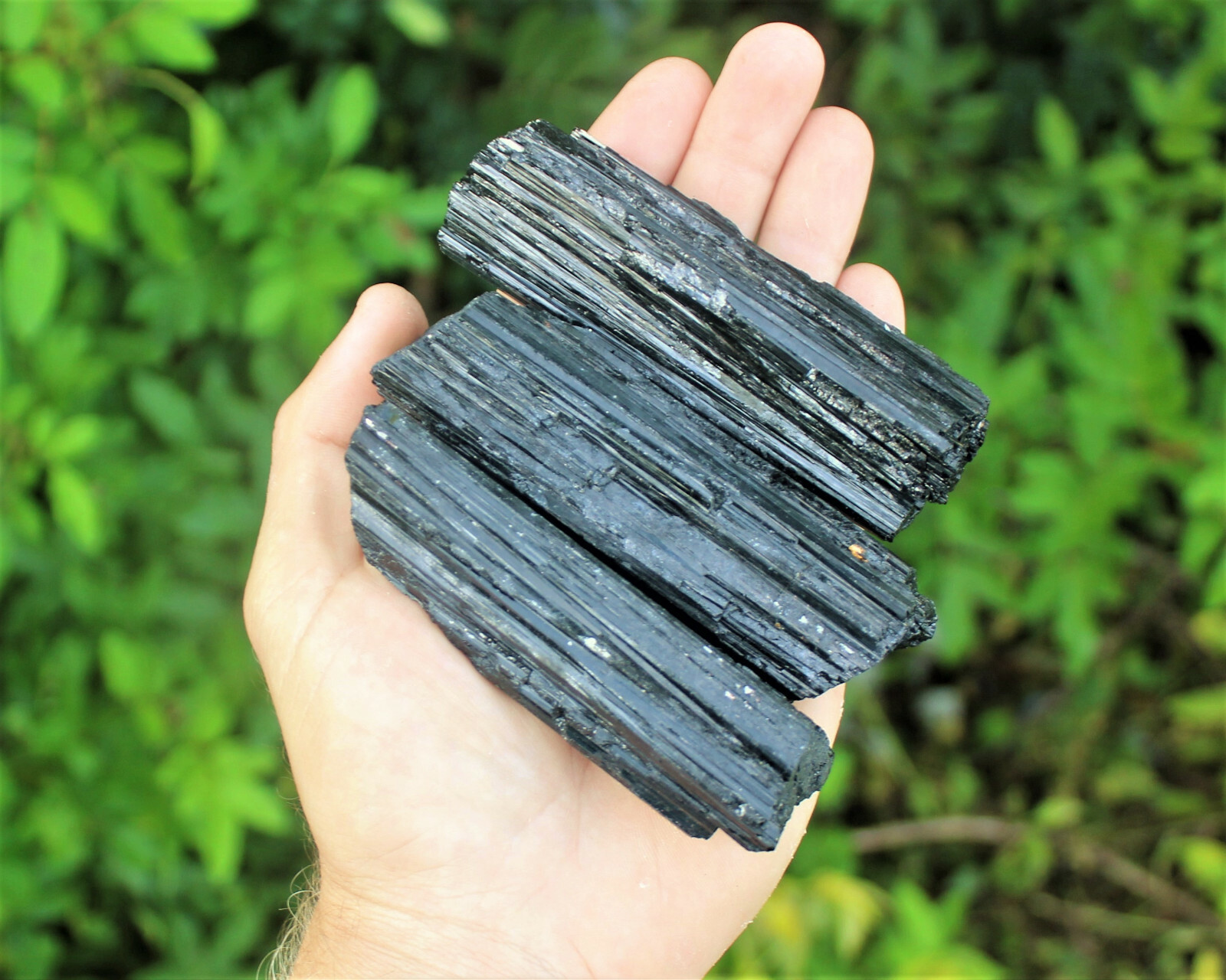 Large Black Tourmaline PREMIUM EXTRA A GRADE Shiny Rough Rod Log (3 – 4 oz)