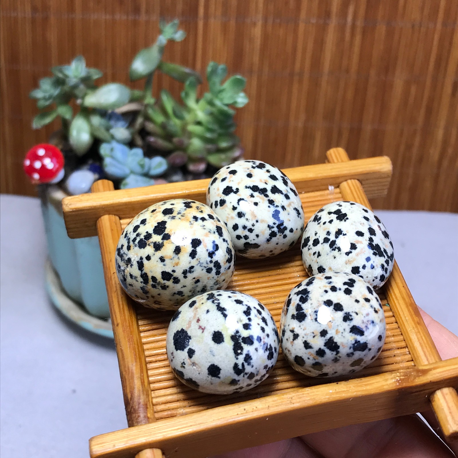 24-24-18mm 5Pcs Natural spotted stone Crystal gemstone Mineral Specimen A5717