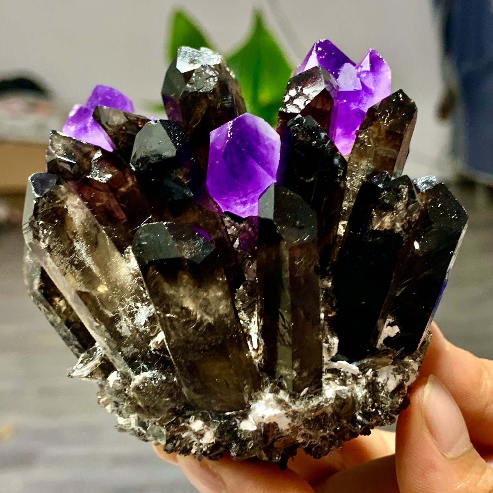 320G New Find black+purple Phantom Quartz Crystal Cluster Mineral Specimen