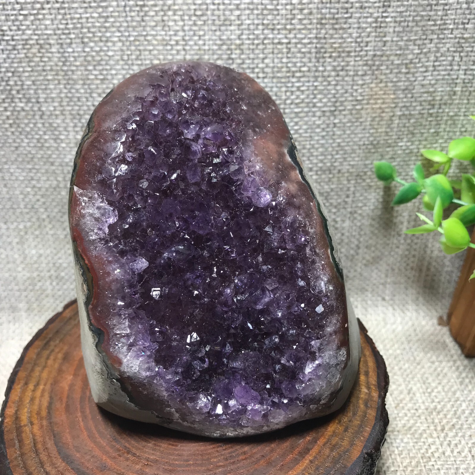 785g Natural Amethyst Cluster Geodes Cut Base Quartz Crystal Healing Specimen 66