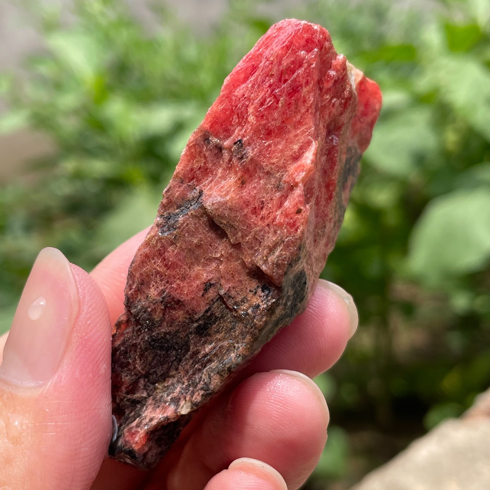 69g Small Raw Ore Red Black Rhodonite Quartz Gemstone Mineral Specimen