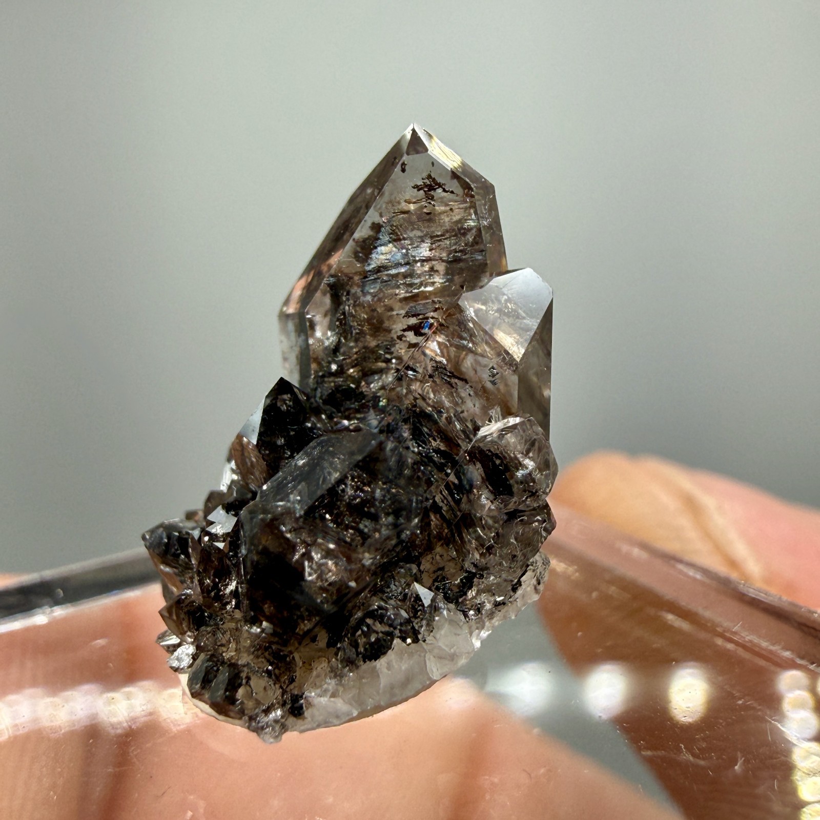 Herkimer Diamond Perched on Rare Black Druze, Gem Points w/ Phantoms