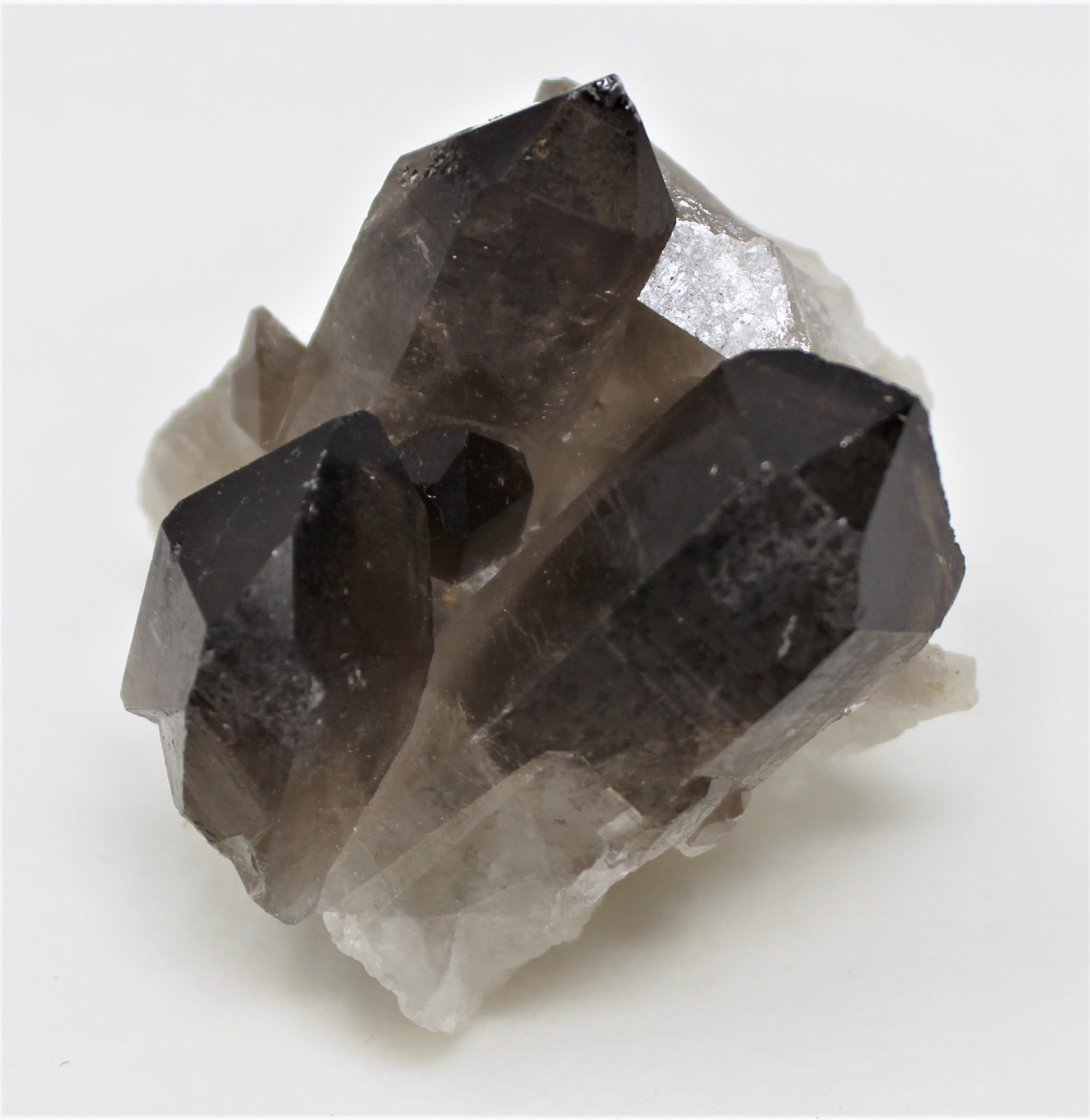 Smoky Quartz Crystal Cluster (3 – 4 oz) Natural Quartz Druze Geode Specimen
