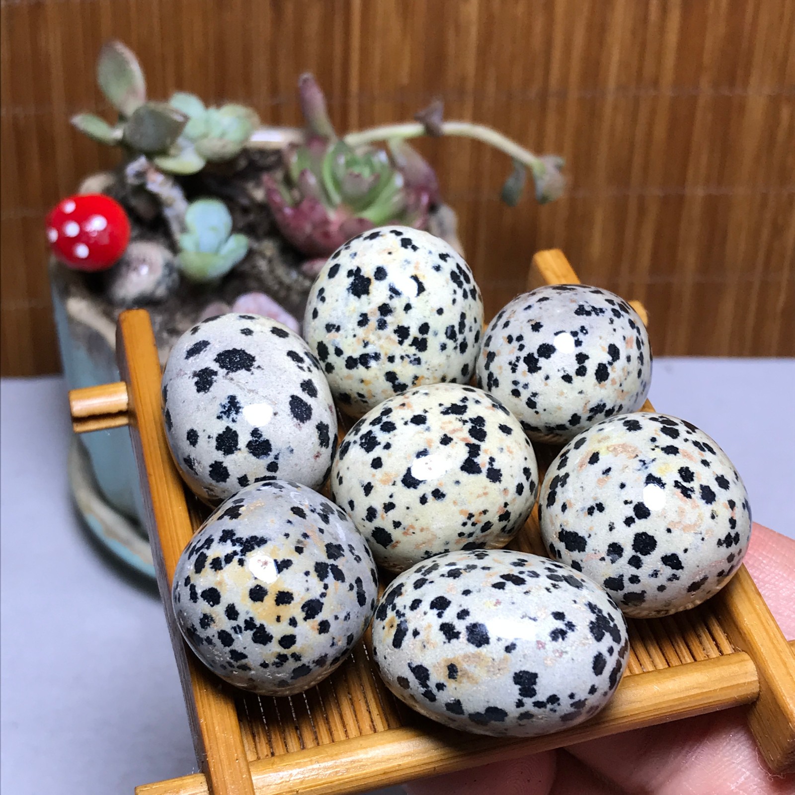 25-22-22mm 7Pcs Natural spotted stone Crystal gemstone Mineral Specimen A4408