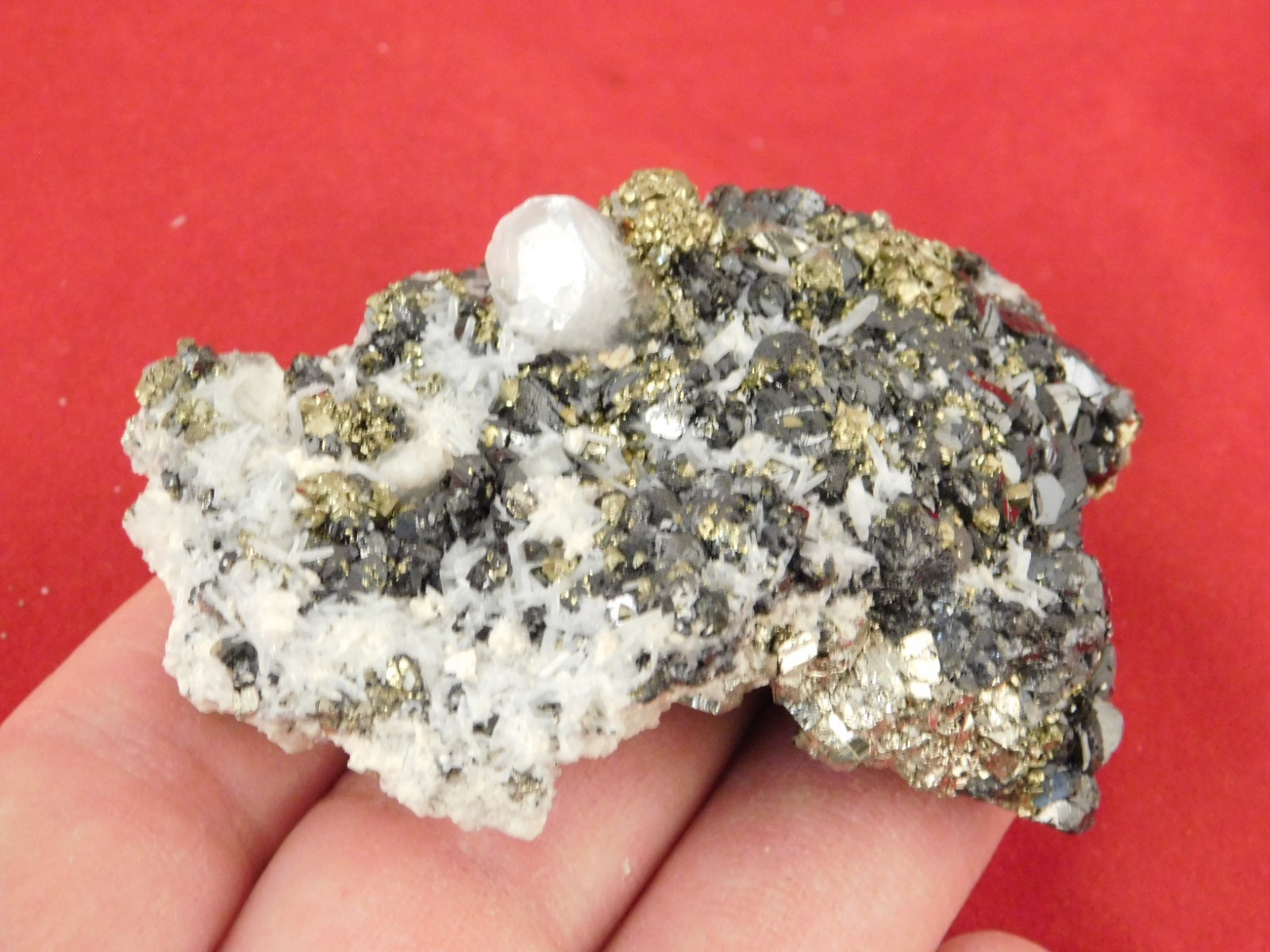 Sphalerite Crystal Cluster with Chalcopyrite Calcite and Pyrite 116gr