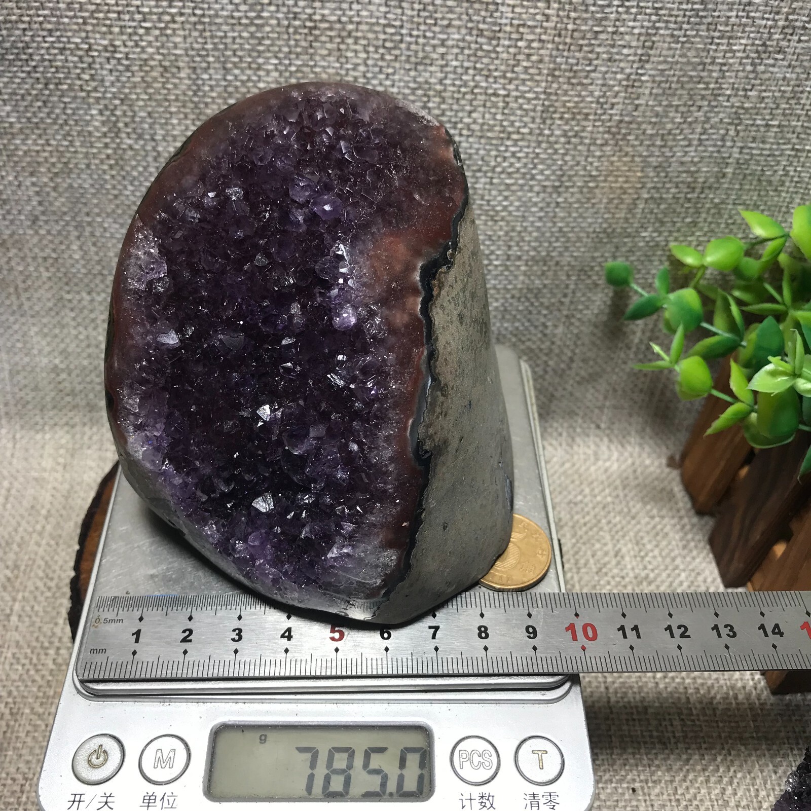 785g Natural Amethyst Cluster Geodes Cut Base Quartz Crystal Healing Specimen 66