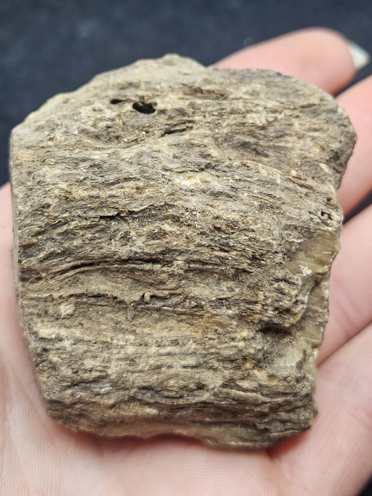 Natural Raw Amber Specimen Rough Unpolished Fossilized Resin Stone Rock