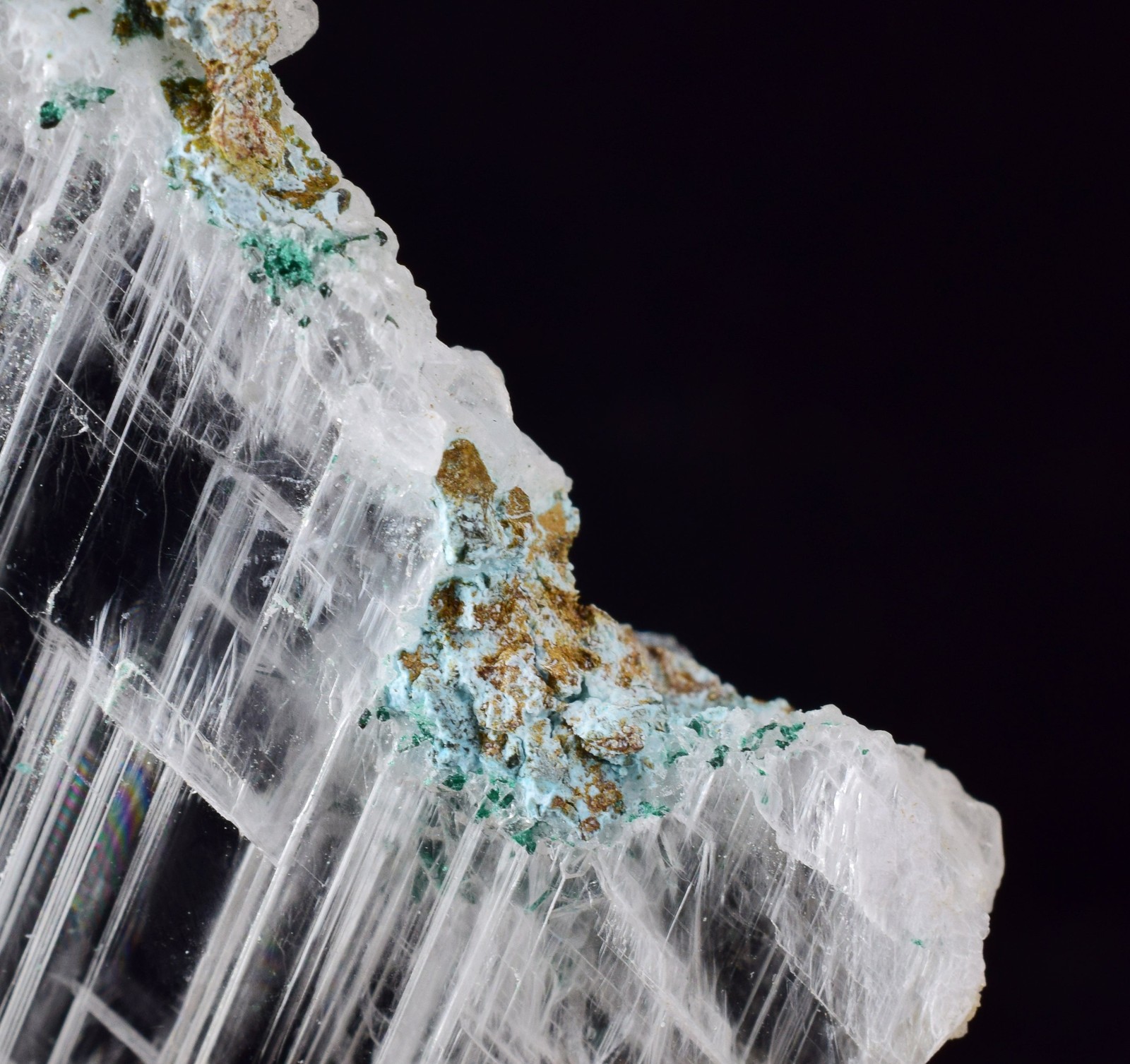 4.6cms GEM ATACAMITE INSIDE SELENITE CRYSTAL LILY MINE PERU TB179